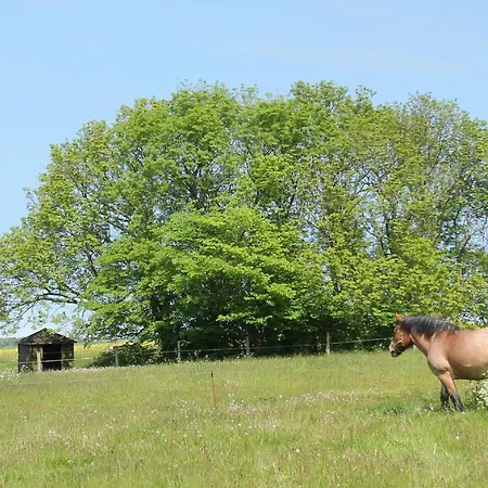 Villa Seeschwalbe Ferienwohnung 10 Апартаменты Бреге